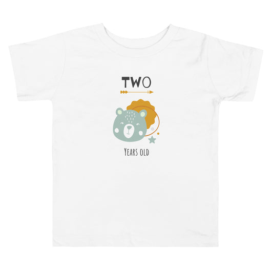 Kids Criança, a melhor t-shirt de aniversário com um urso pode alterar os anos [t-shirt de criança 2-5 anos PBC31T]